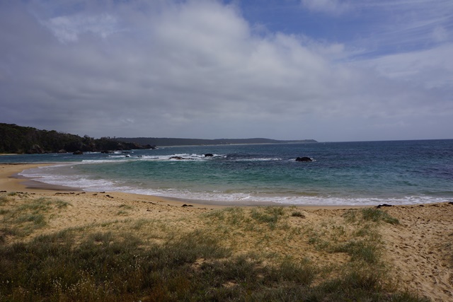 e0006999_19443535.jpg