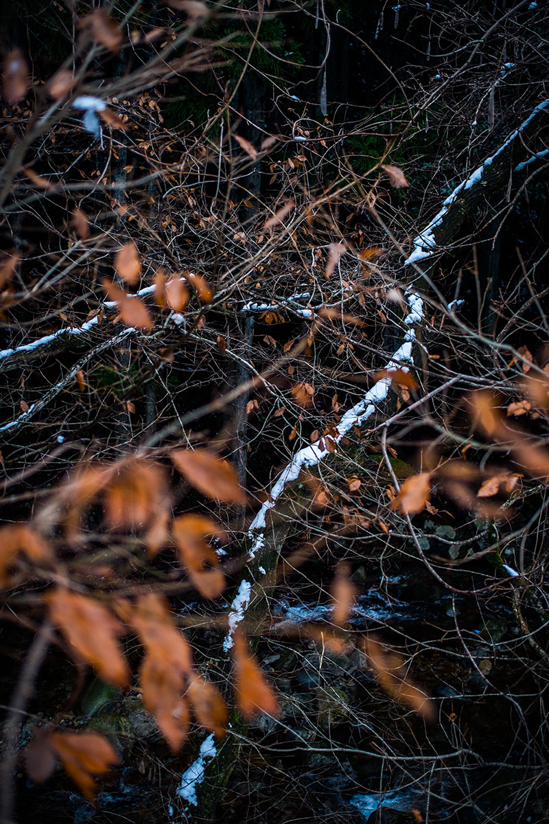 d0200900_162669.jpg