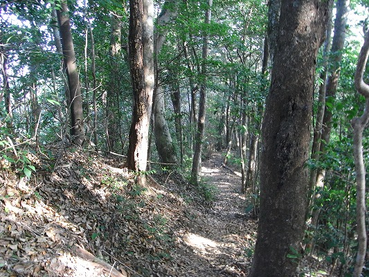 f0187402_20582336.jpg