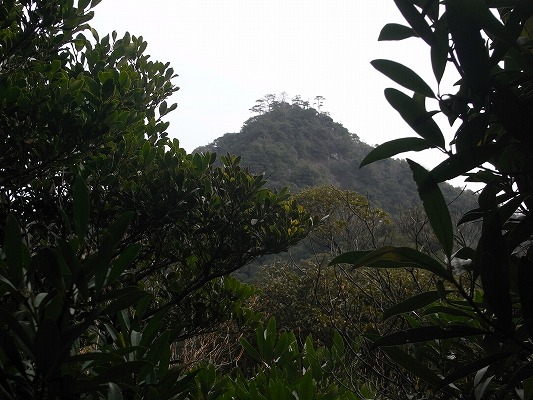 f0187402_20583276.jpg