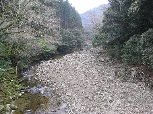f0187402_2059158.jpg