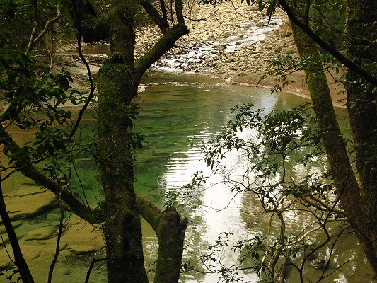 f0187402_20593524.jpg