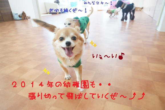 d0220513_1631481.jpg