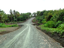 a0043520_19145953.jpg