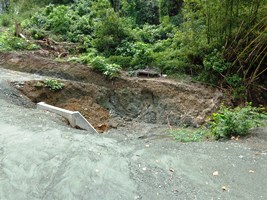 a0043520_19161496.jpg