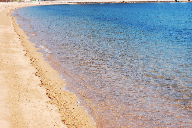 f0248120_2237988.jpg