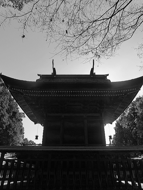 f0248120_238420.jpg