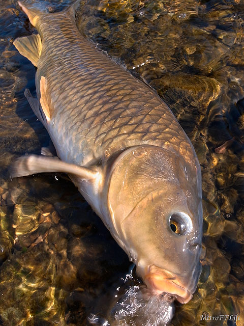 e0112722_23103410.jpg