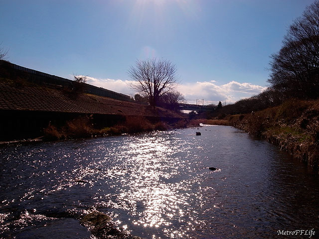 e0112722_2311022.jpg