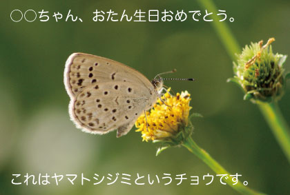 c0184125_19513490.jpg