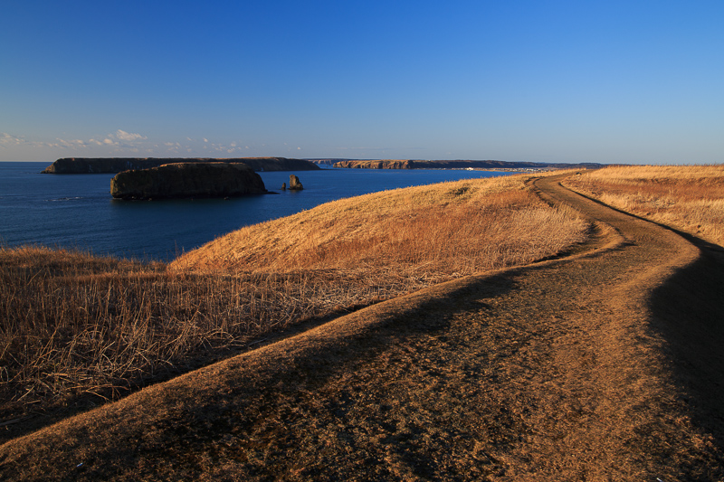 b0243727_20595075.jpg