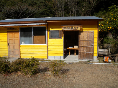 e0272335_547494.jpg
