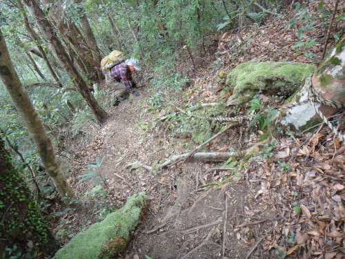 c0179351_17545765.jpg