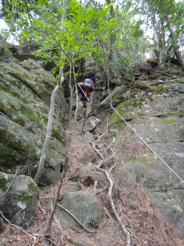 c0179351_17572375.jpg