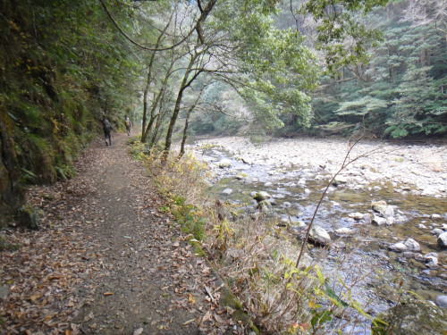 c0179351_17591219.jpg