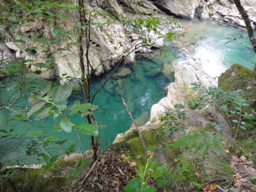 c0179351_180996.jpg