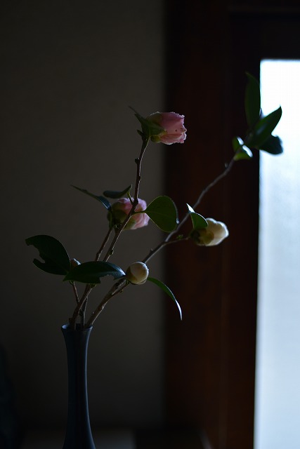 c0145453_23155067.jpg