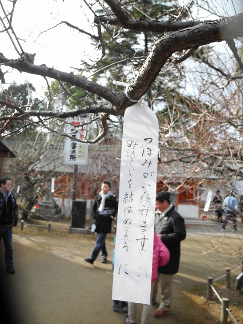 c0145453_2316299.jpg