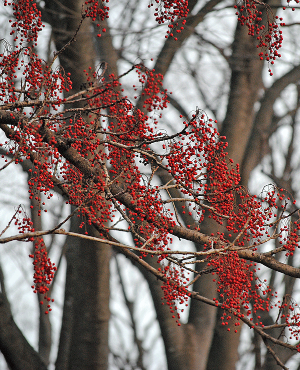 a0001354_2353226.gif