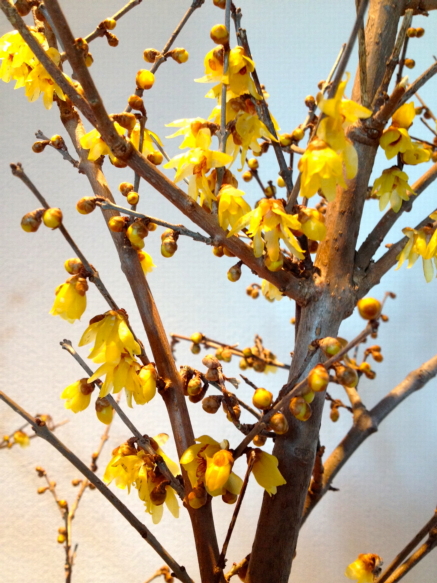 c0224154_902045.jpg