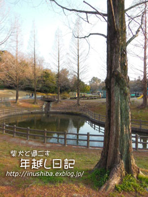 a0286855_19532834.jpg