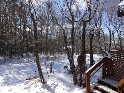 f0198556_2312038.jpg