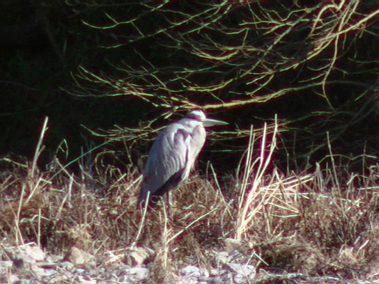 f0084561_11232476.jpg