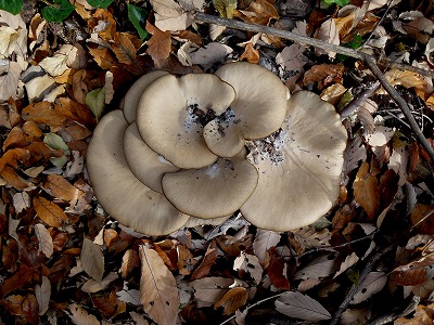 d0019074_955449.jpg