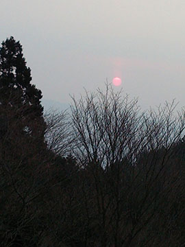 b0119979_18113840.jpg