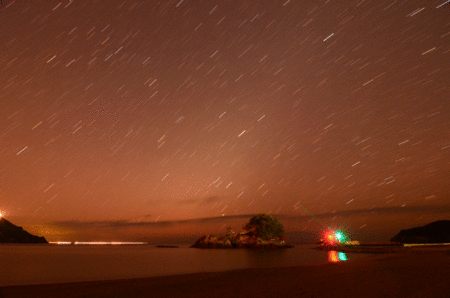 d0133382_19562840.gif
