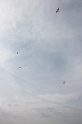 d0034894_11275298.jpg