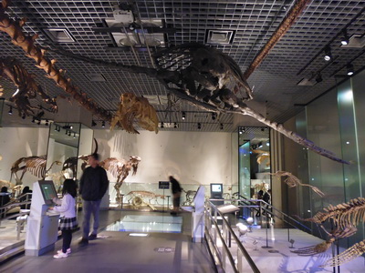 d0034894_12115443.jpg