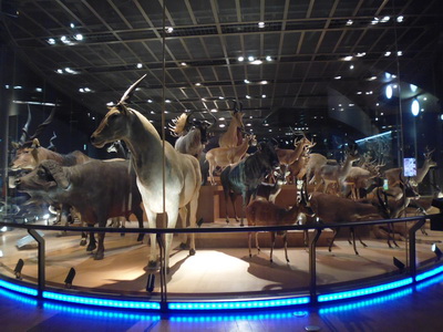 d0034894_12182692.jpg