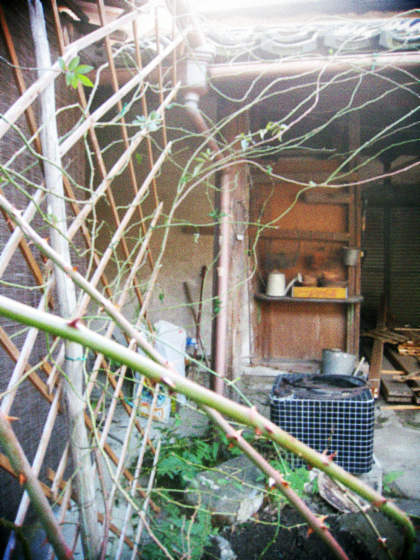 d0077603_925067.jpg