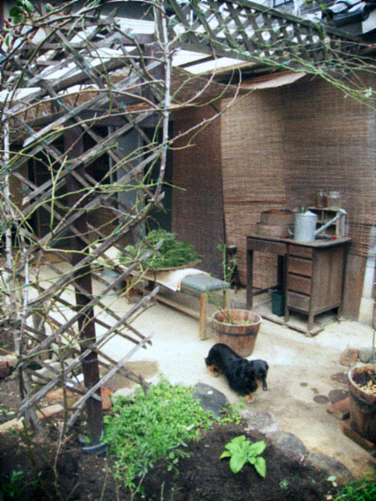 d0077603_9252183.jpg