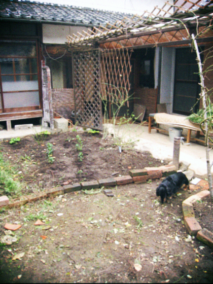 d0077603_9253698.jpg