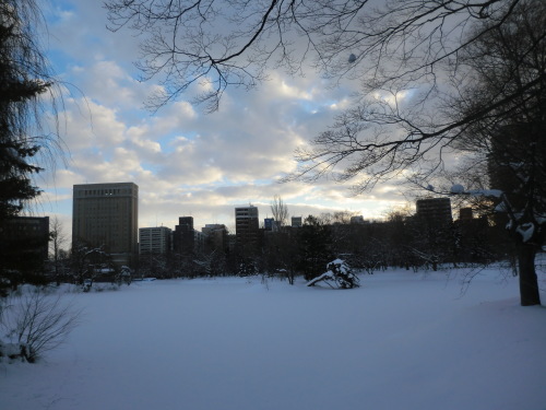 e0242504_20314097.jpg