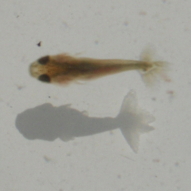 c0162817_1744517.jpg