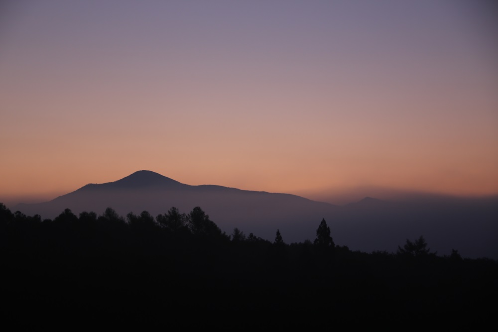 d0109319_2234159.jpg