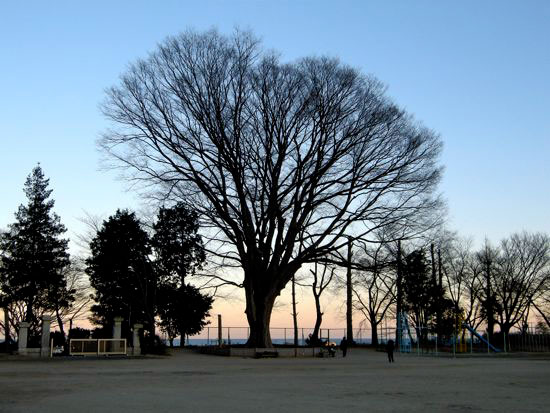 e0247832_23144282.jpg