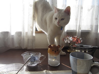f0002833_1627491.jpg