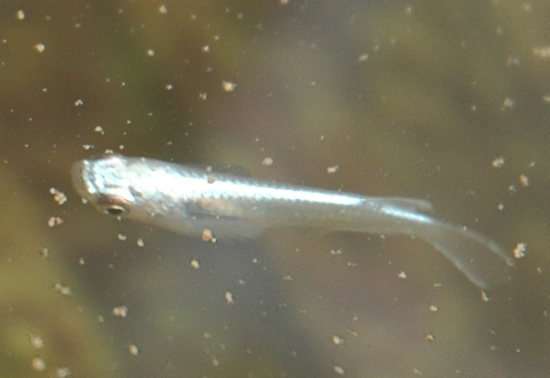 e0097534_15511783.jpg