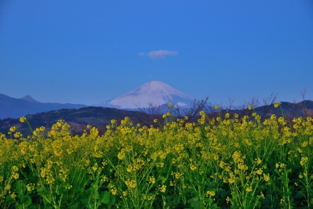 c0314839_05571035.jpg
