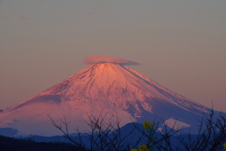 c0314839_05583637.jpg