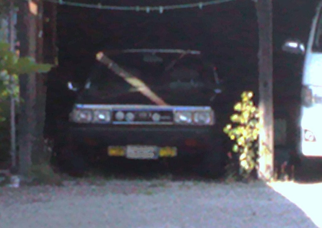 a0228940_01553437.jpg