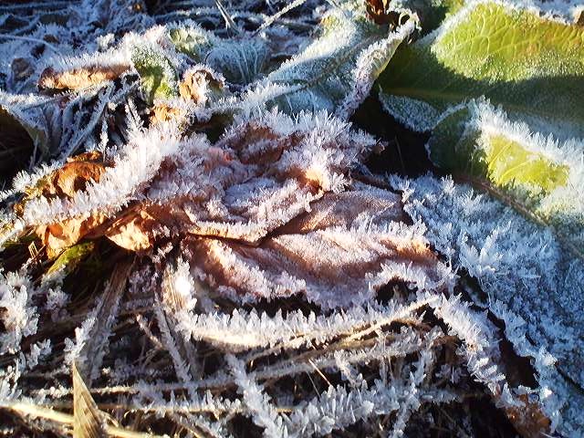 a0272241_20101687.jpg