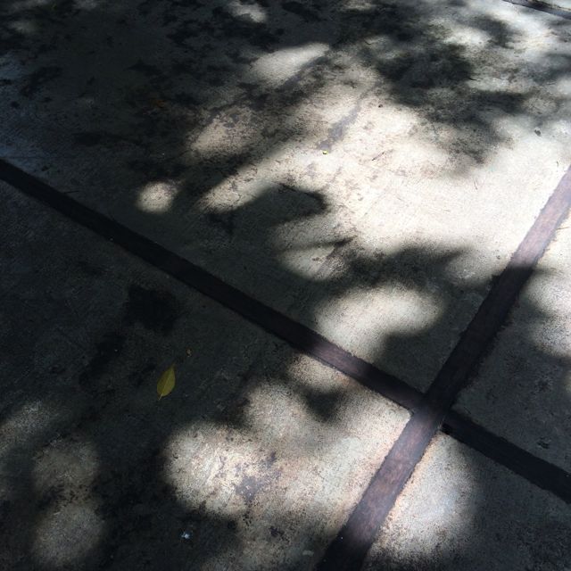 d0256347_23204115.jpg