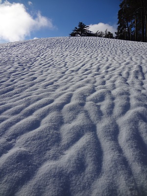 e0312749_0425772.jpg