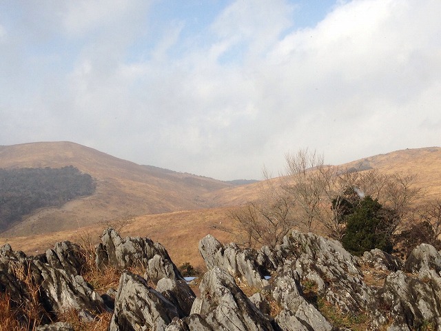 b0160255_11110140.jpg
