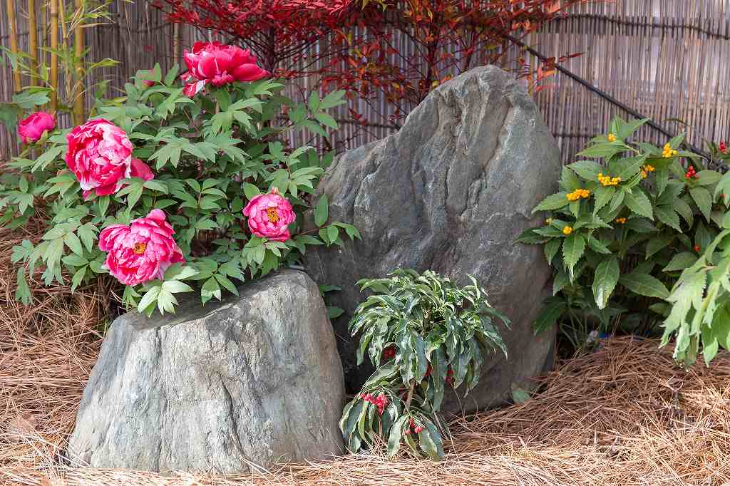 f0044056_08284000.jpg